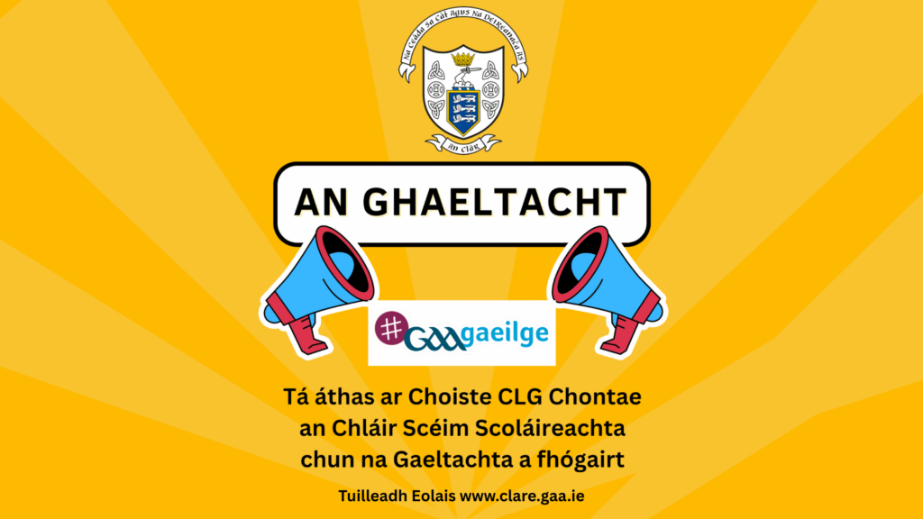 Scoláireachtaí – Gaeltacht Scholarship Form